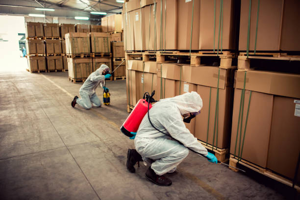 Best Wildlife Control Services  in Hamburg, PA