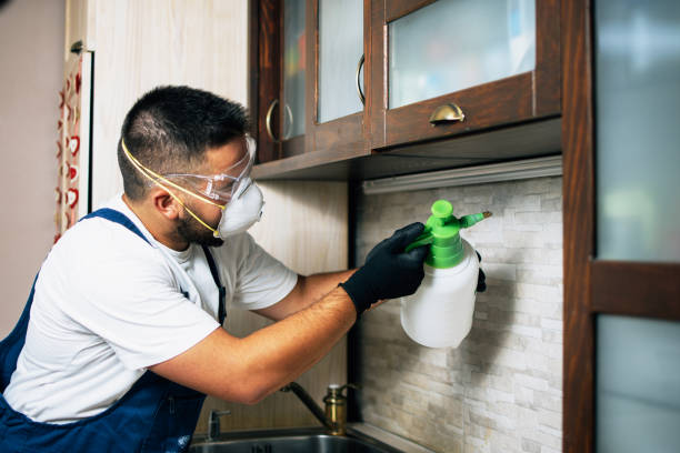 Best Best Pest Control Near Me  in Hamburg, PA