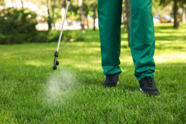 Best Commercial Pest Control Services  in Hamburg, PA