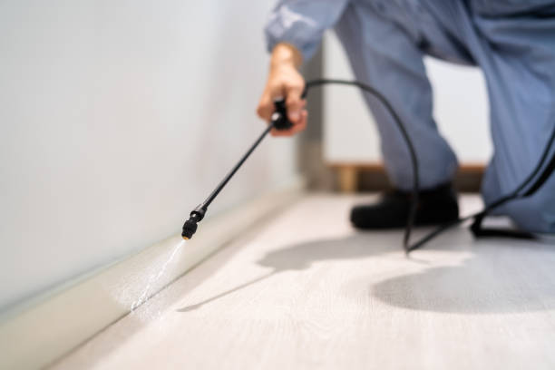 Professional Pest Control in Hamburg, PA