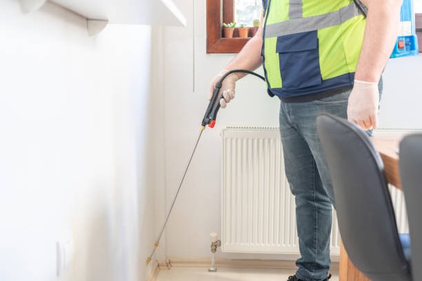 Best Local Pest Control Services  in Hamburg, PA